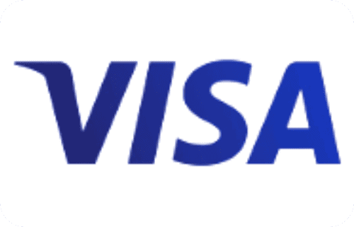 visa icon